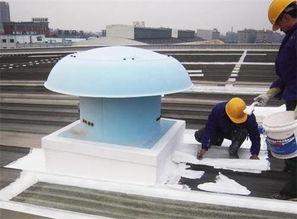 卓立锦 为水库防水工程赋能的新乡防水涂料后盾